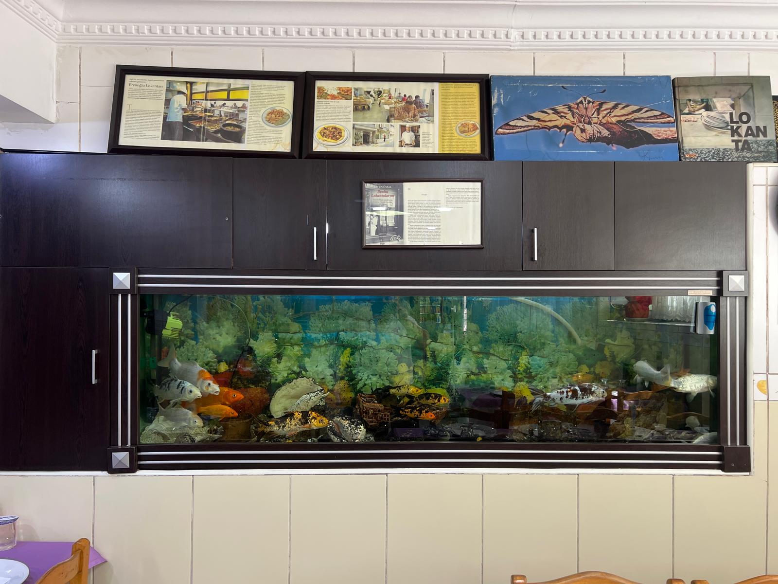 Erenoğlu Restaurant